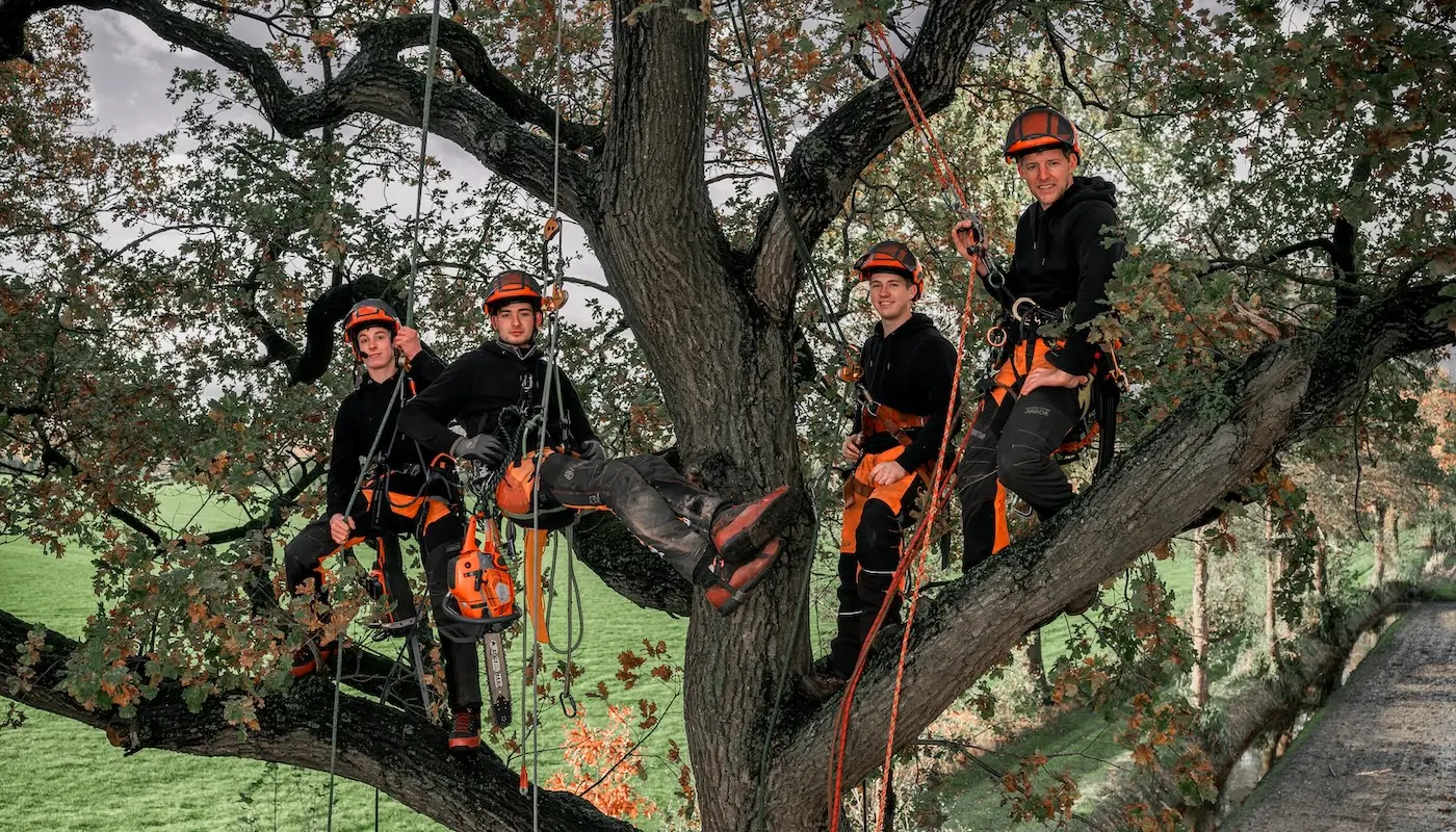 Luchtenberg Meesters in Bomen - Nieuwe Bronshaan